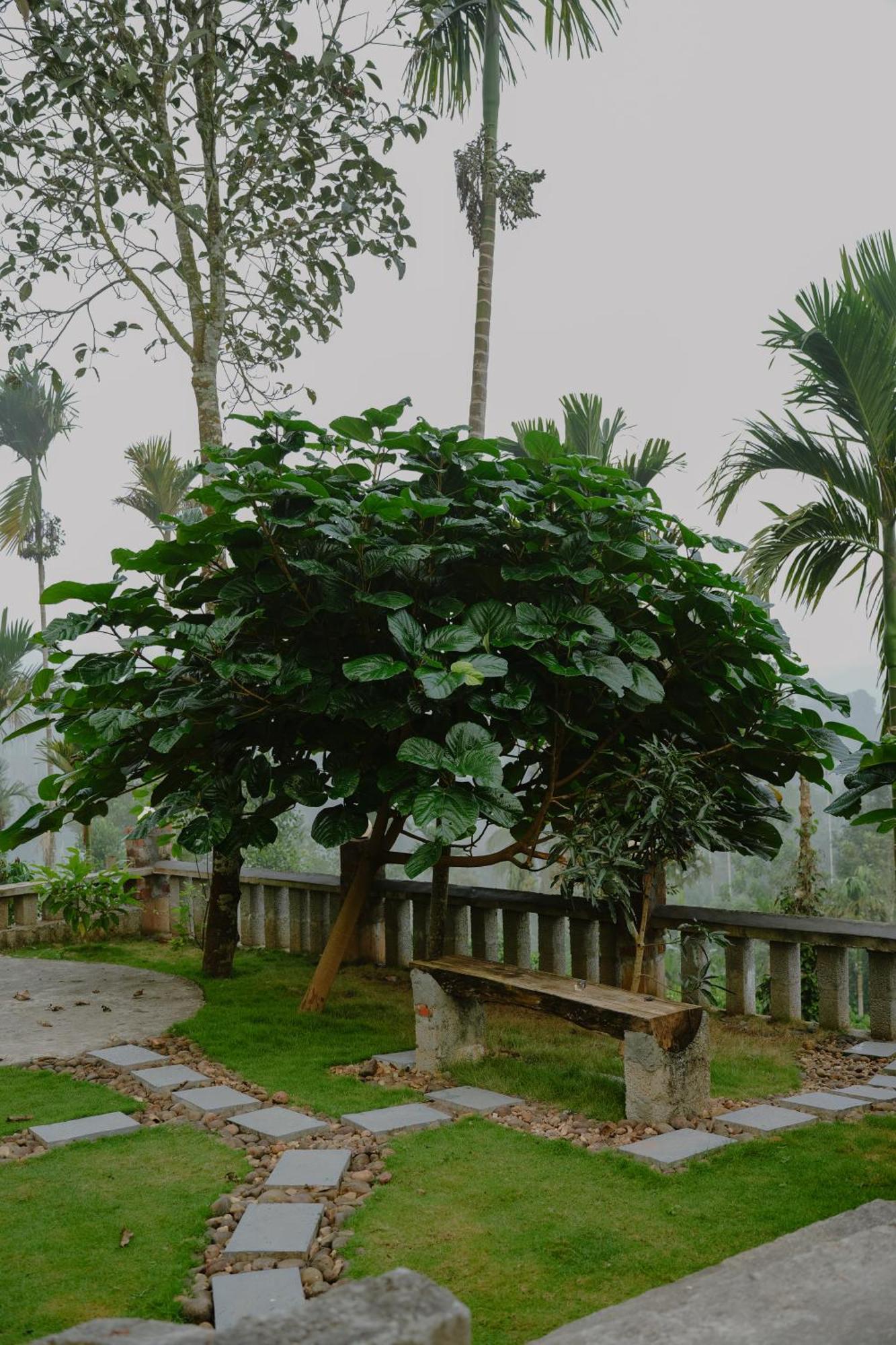 Haze Woods Resort Vaduvanchal Exterior foto